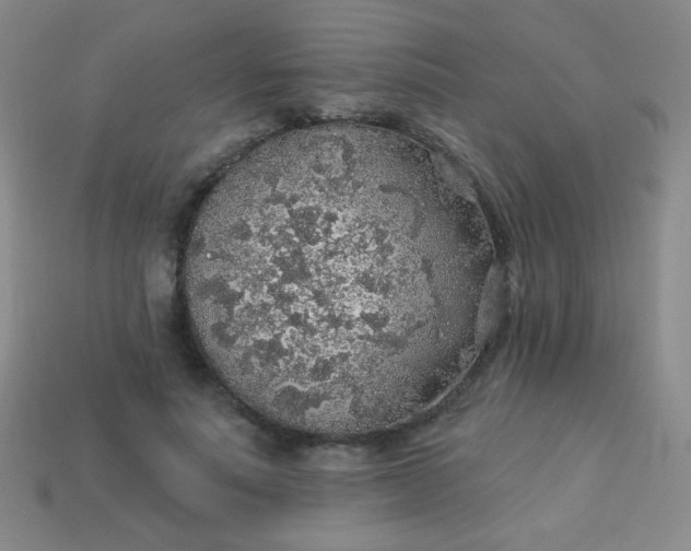 X0000113960691200910091629