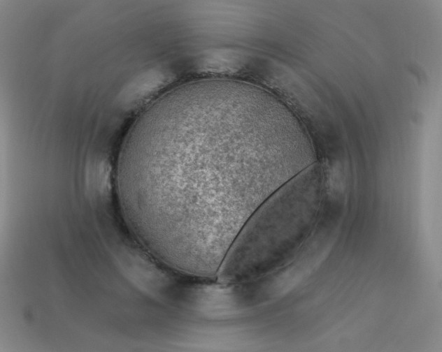 X0000113960692200910091629