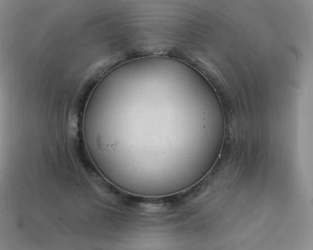 X0000113960693200910091629