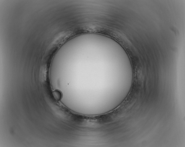 X0000113960694200910091629