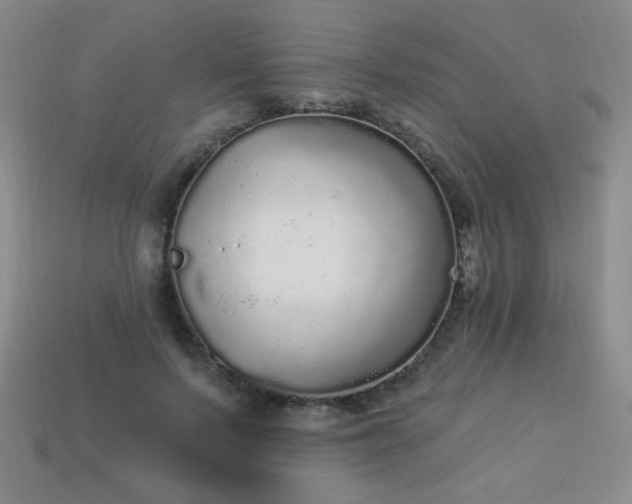 X0000113960695200910091629