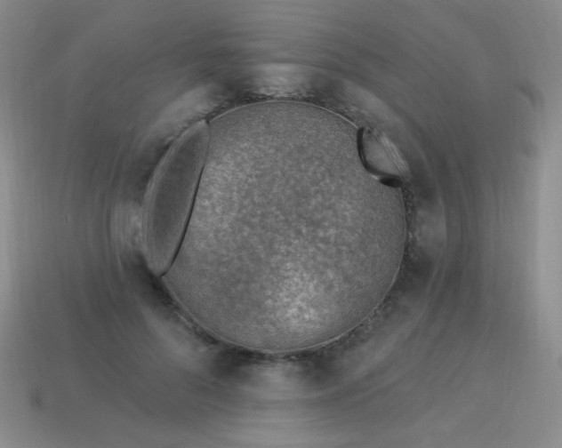 X0000113960696200910091629