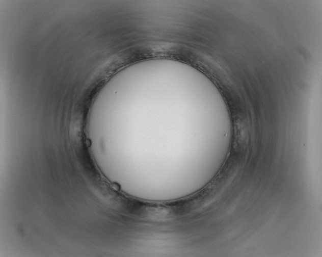 X0000113960698200910091629