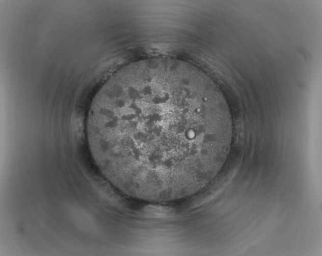 X0000113960699200910091629