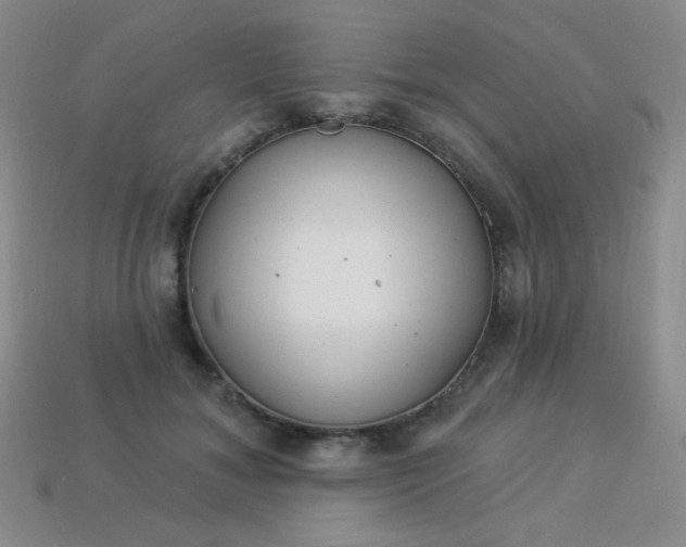 X0000113960700200910091629