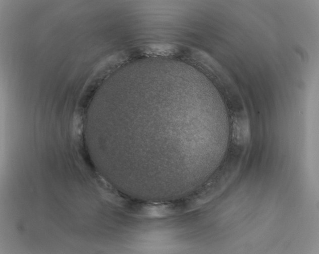 X0000113960701200910091629