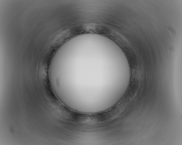 X0000113960702200910091629