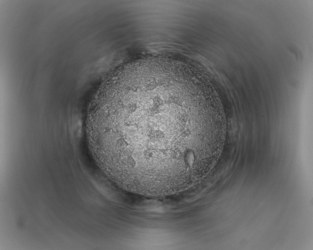 X0000113960703200910091629