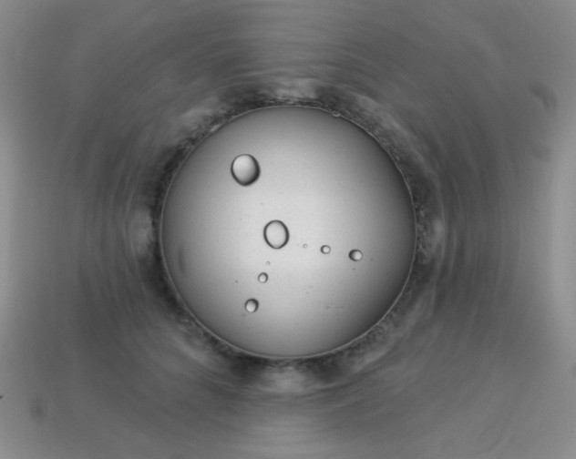 X0000113960704200910091629