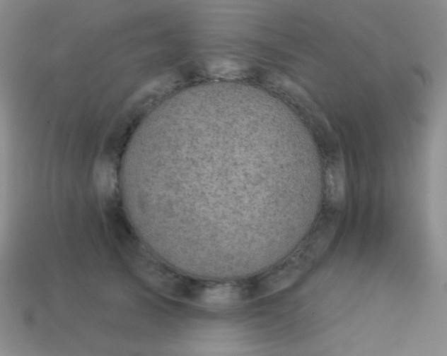 X0000113960705200910091629