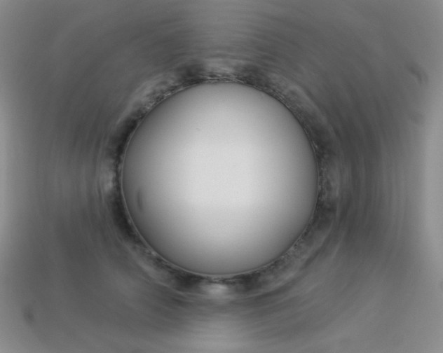 X0000113960706200910091629