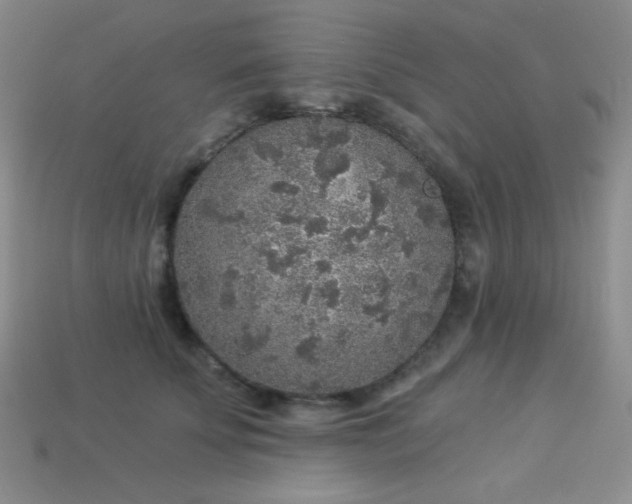 X0000113960707200910091629