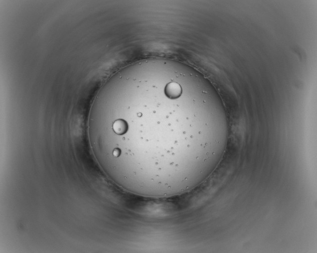 X0000113960708200910091629