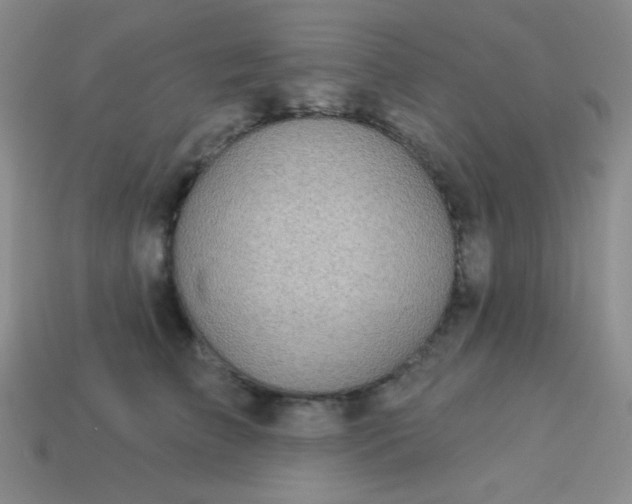 X0000113960709200910091629