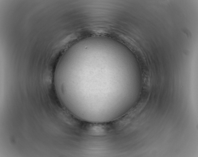 X0000113960710200910091629