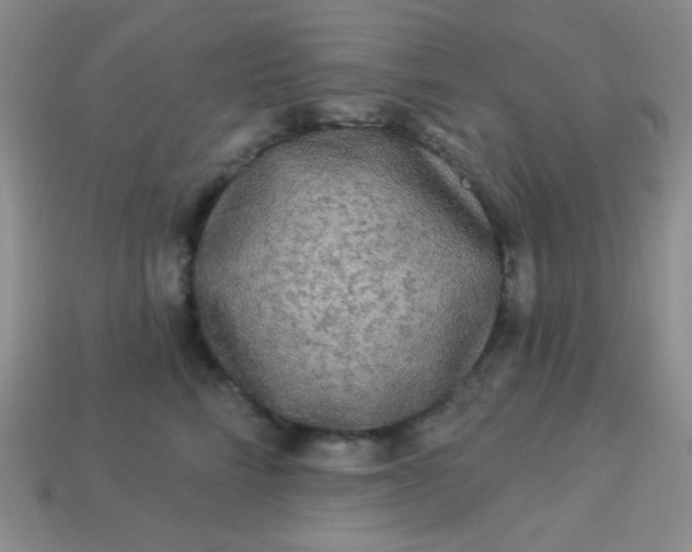 X0000113960712200910091629