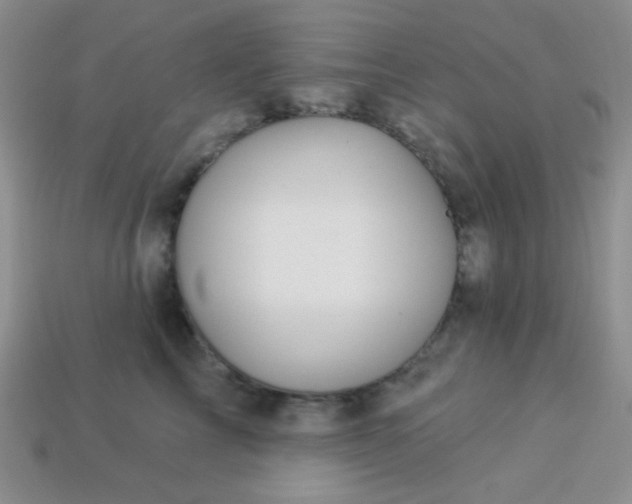 X0000113960713200910091629