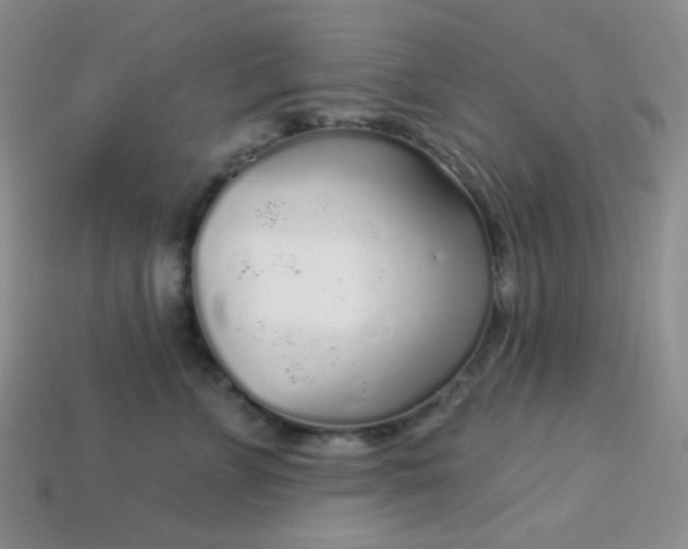 X0000113960715200910091629