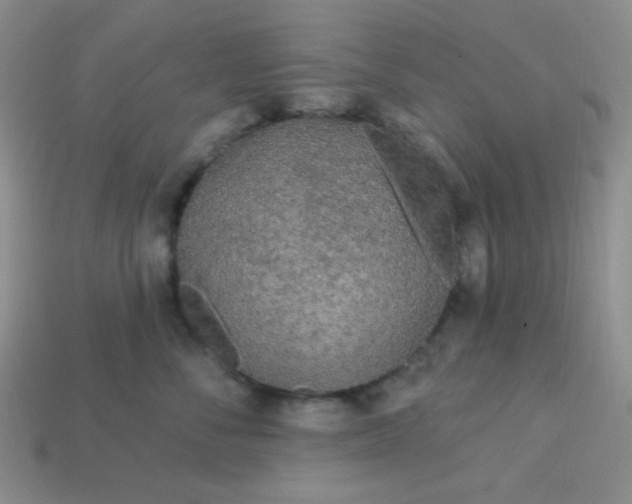 X0000113960716200910091629