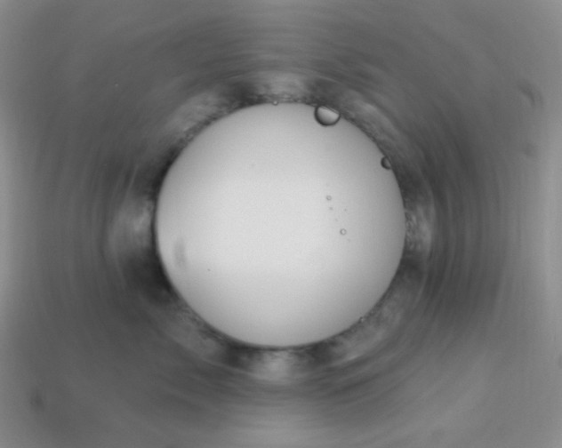 X0000113960717200910091629