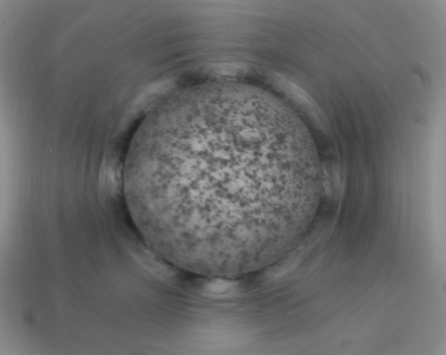 X0000113960718200910091629