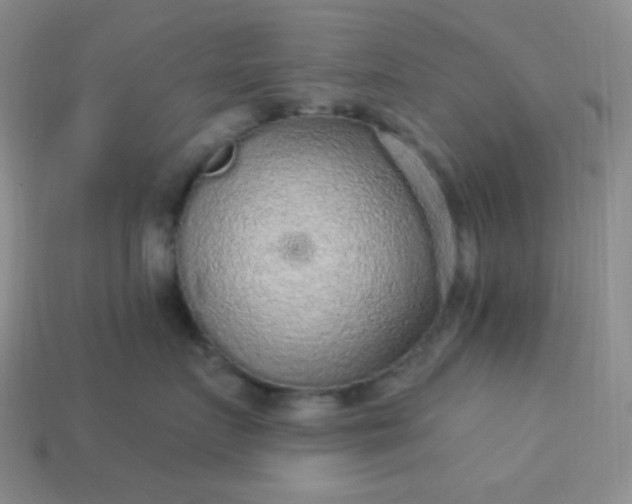 X0000113960719200910091629