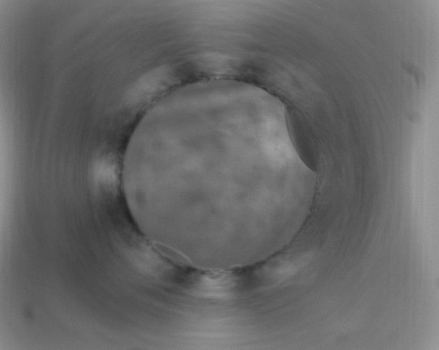 X0000113960720200910091629