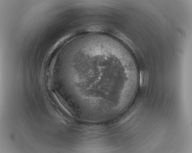 X0000113960723200910091628