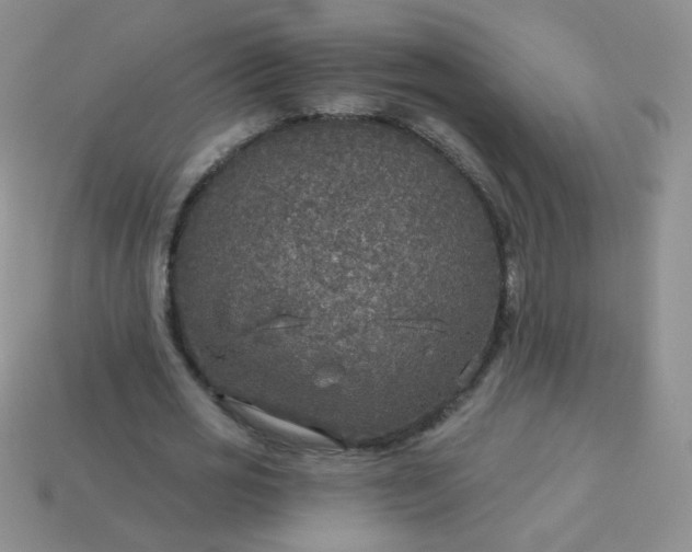 X0000113960725200910091628