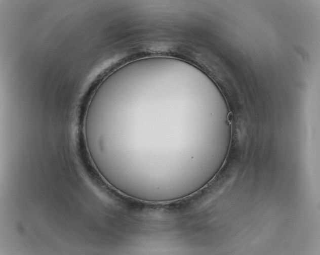 X0000113960728200910091628