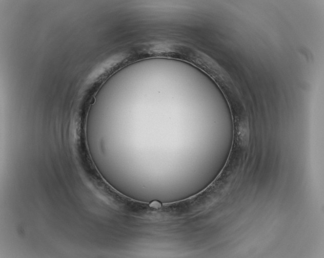 X0000113960732200910091628