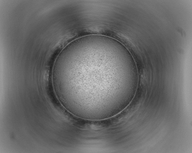 X0000113960739200910091628