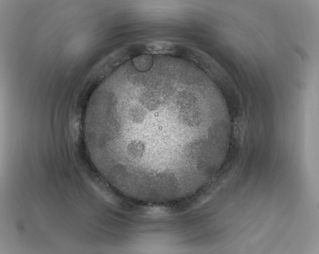 X0000113960741200910091629