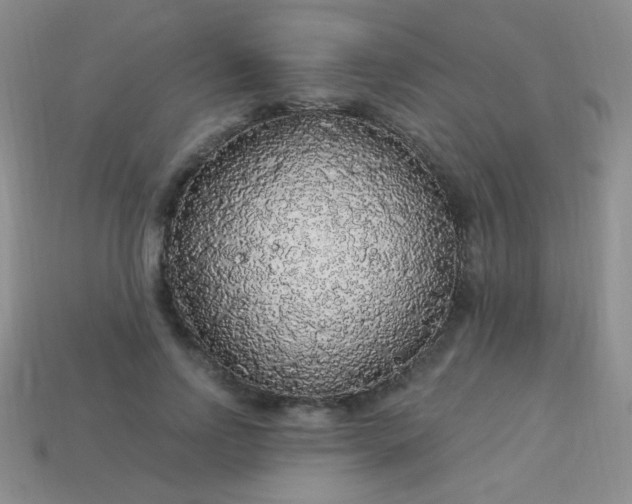 X0000113960742200910091629