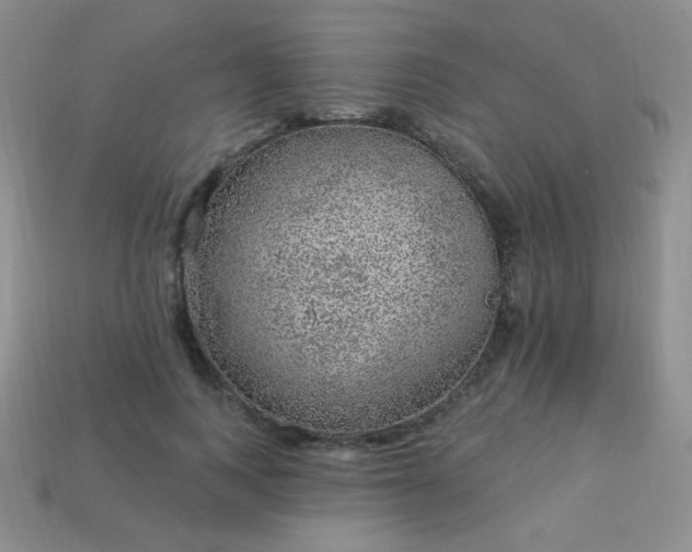 X0000113960743200910091629