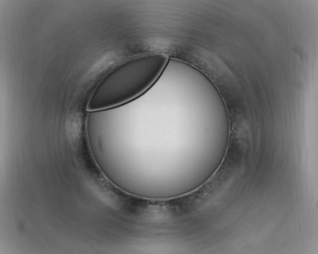 X0000113960744200910091629