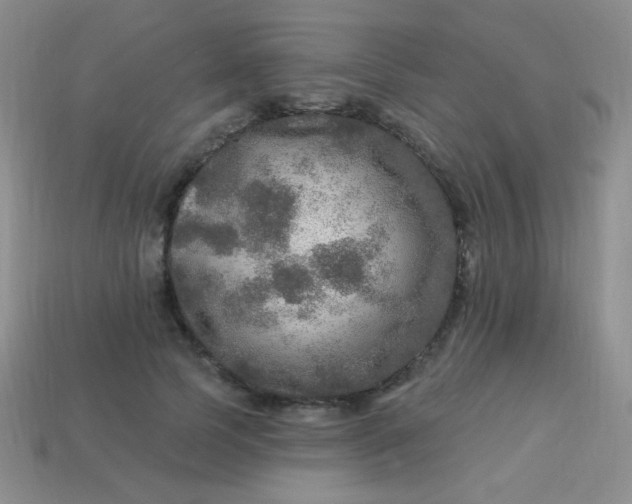 X0000113960745200910091629