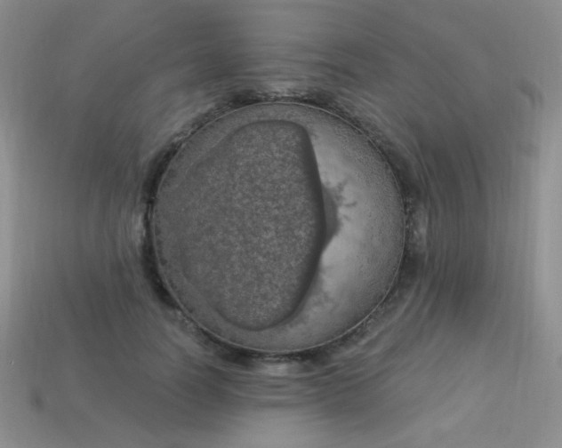 X0000113960746200910091629