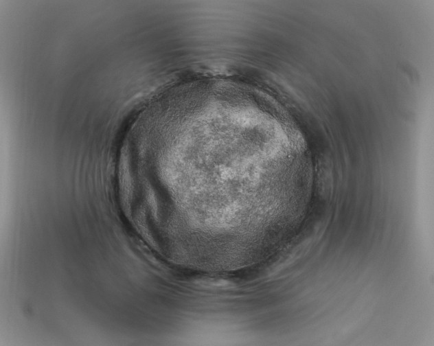 X0000113960747200910091629