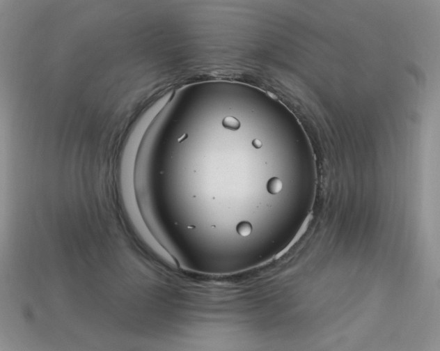 X0000113960748200910091629