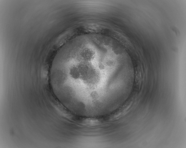 X0000113960749200910091629