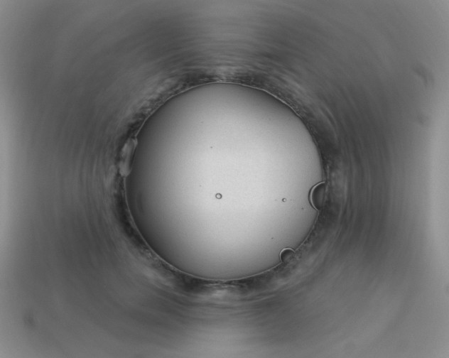 X0000113960750200910091629