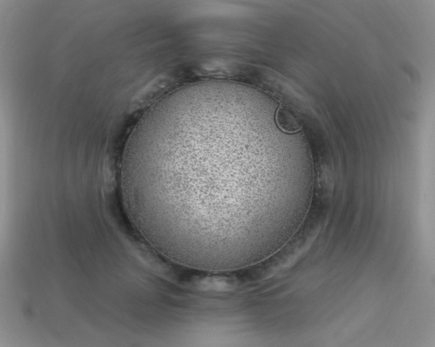 X0000113960751200910091629