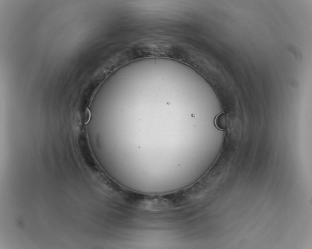 X0000113960752200910091629