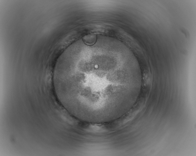 X0000113960753200910091629