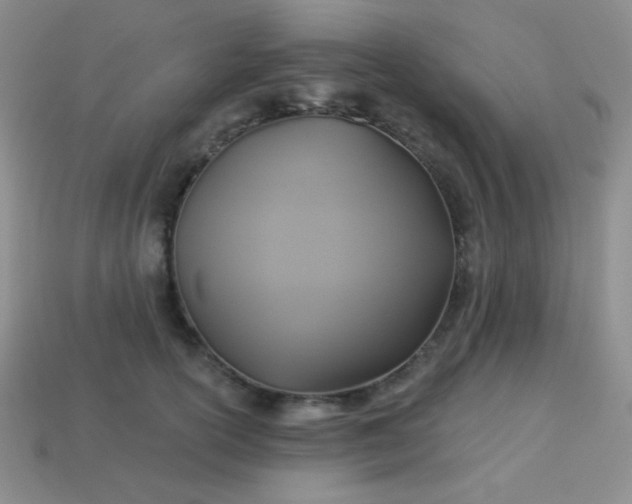 X0000113960754200910091629