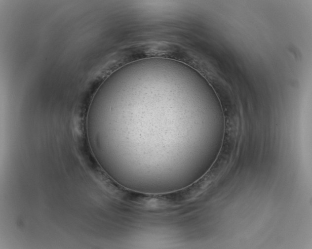 X0000113960755200910091629