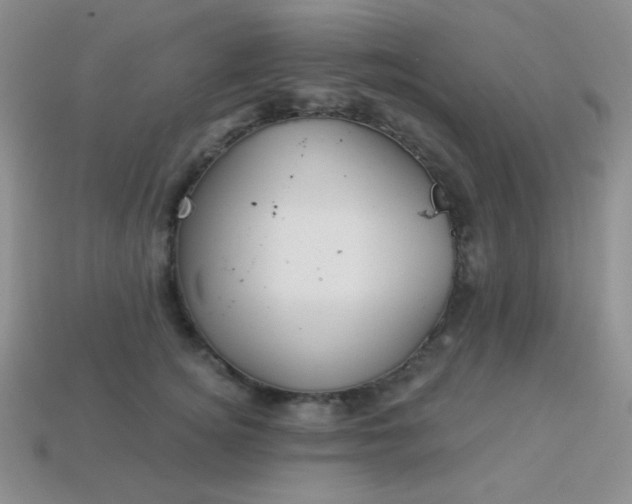 X0000113960756200910091629