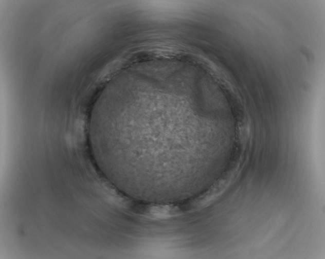 X0000113960757200910091629