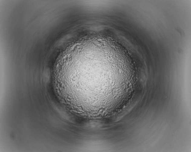 X0000113960758200910091629